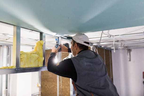 Best Spray Foam Insulation  in Surf City, NC